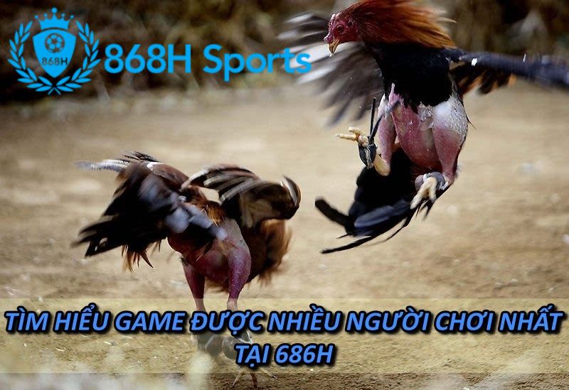 Tìm hiểu game được nhiều người chơi nhất tại 686H