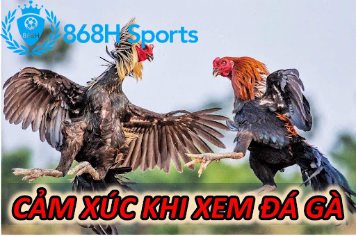 Cảm xúc khi xem trò chơi đá gà