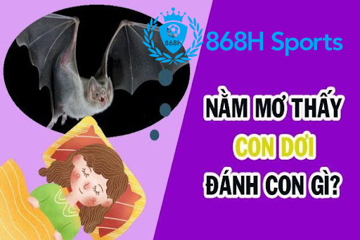 Mơ thấy con dơi đánh con gì?