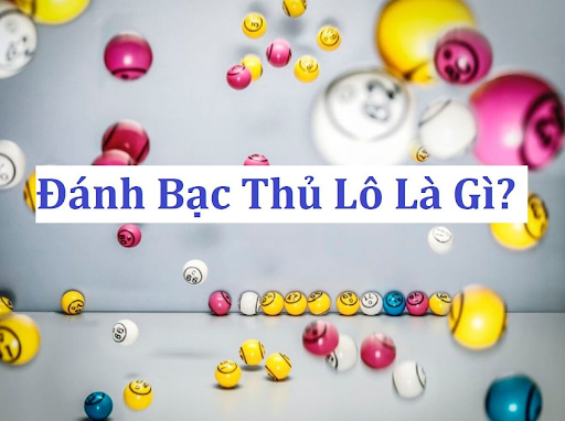 Bạch thủ lô là gì