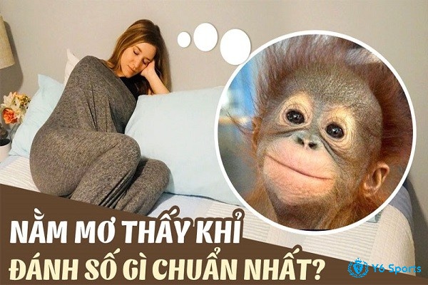 Nam mo thay khi là số mấy?