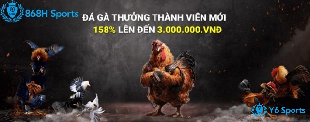 Xem đá gà thomo trực tiếp tại nhà cái 868h an toàn, mượt mà