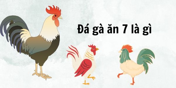 Đá gà ăn 7 là gì? Những lí do mà bạn nên chơi đá gà ăn 7