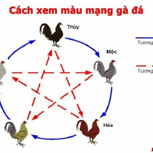 Cách xem ngày đá gà: Bí quyết tìm hiểu lịch trình và thời gian