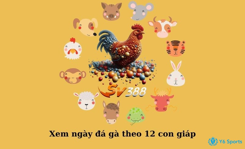 Xem lịch đá gà theo ngày theo 12 con giáp