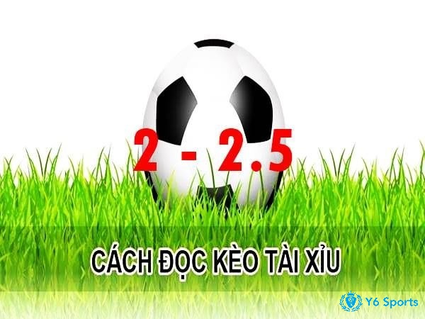 Điểm nổi bật trong kèo tài xỉu 2.5